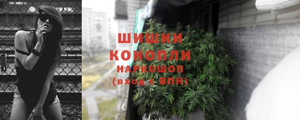 СК Волоколамск