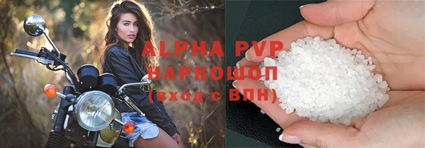 СК Волоколамск