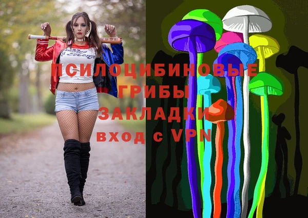 спиды Вяземский