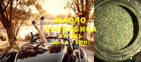 спиды Вяземский