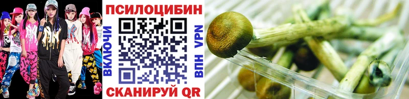 Галлюциногенные грибы Psilocybe  Дудинка 
